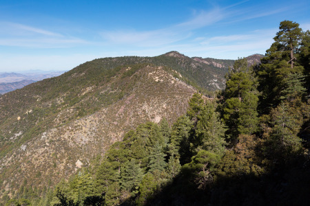 Huachuca Mountain Crest Trail