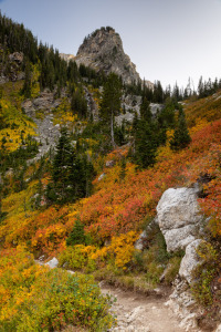 Autumn Colors Covering Paintbrush Canyon