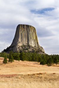 Devils Tower and Grassy Meadow