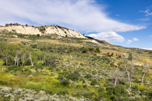 Fossil Butte Above Desert Landscape