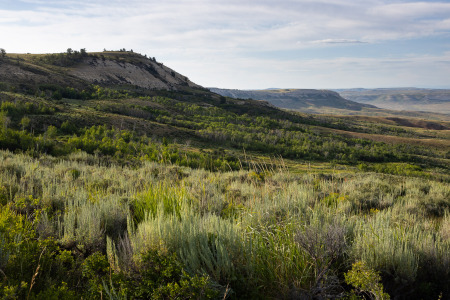 Landscape Descending from Butte