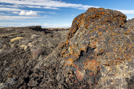 Lichen Covering Volcanic Rocks