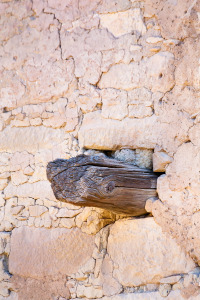 Juniper Log in Wall Abstract