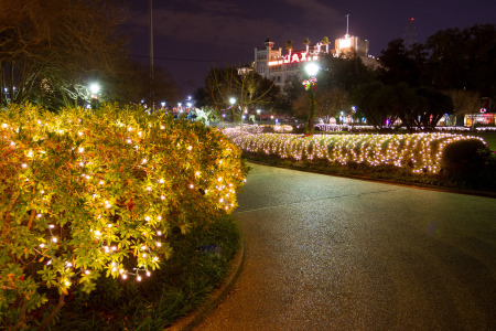 Jackson Square Christmas Lights