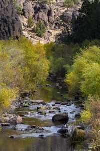 North Fork of the Owyhee River