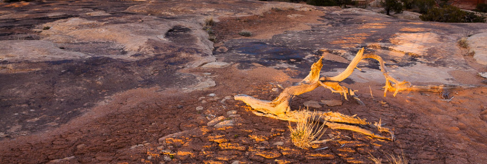 Evening Light in Canyonlands National Park