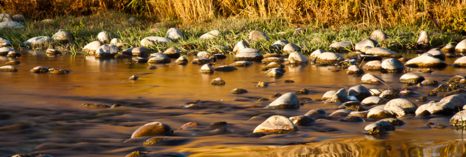 Fall Colors Reflected in Water