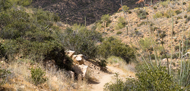 Arizona Trail in Desert Mountains