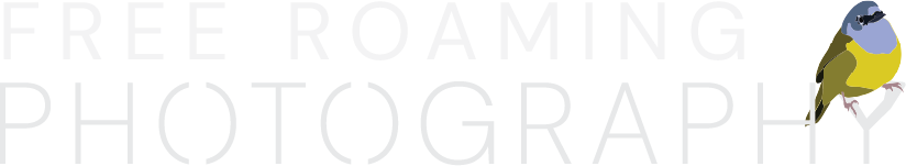 Free Roaming Photography
